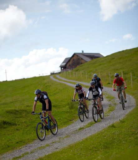 Noch gilt der Bregenzerwald als Geheimtipp für Mountainbiker. Das ansehnliche Wegenetz von ganz gemütlichen und höchst anspruchsvollen Touren wurde jetzt einheitlich und neu beschildert. Eines haben alle Touren gemeinsam: Sie führen auf die Spuren der Lebenskultur, geben Einblick in die Geschichte und in die bäuerliche Gegenwart. Alle Routen verlaufen durch ausgesucht schöne Landschaften, meist zu Vorsäßen und Hochalpen, wo derzeit Kühe und Sennen den Sommer verbringen.