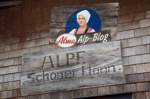 Vorschau Bild von Liveberichterstattung von Lena Hoschek von der Alpe Schöner Mann blog.alma.at