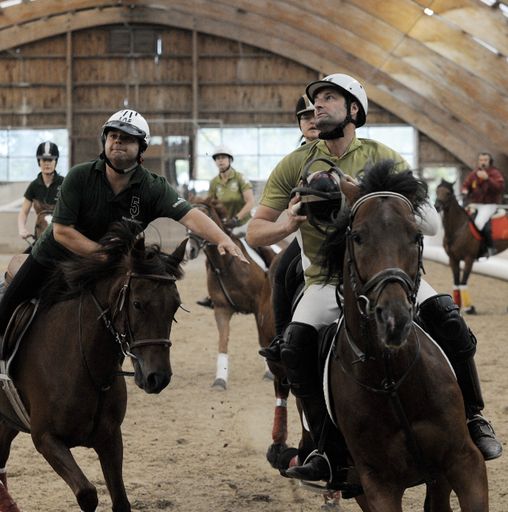 Horse-Ball-Spiel