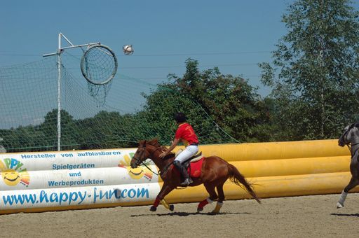 Horse-Ball-Spiel