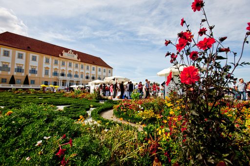 Vorschau Bild von Rubin Carnuntum Präsentation im Festschloss Hof