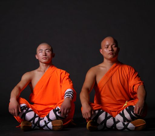 Vorschau Bild von Im Shaolin Tempel Austria wird in zahlreichen Kursen Shaolin Kung Fu, Tai Chi, Meditation und Chan Buddhismus gelehrt.