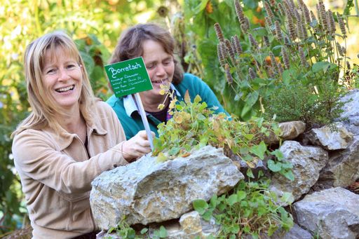 Die Gastgeber von Genuss Reisen Österreich stellen Regionstypisches in den Mittelpunkt. Für Wissenshungrige an regionalen Spezialitäten gibt es konkrete Angebote unter www.genussreisen-oesterreich.at