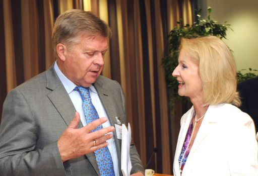 Leif Hallberg ist Chef einer schwedischen Senioren-Organisation und Vizepräsident der Europäischen Seniorenunion. Mit Gertrude Aubauer beriet er in Wien Lösungsmöglichkeiten für mehr alternsgerechte Arbeitsplätze auch in Österreich