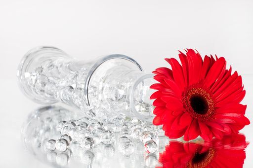 Vorschau Bild von Für alle modebewussten Interieurliebhaber bieten wir nun eine stylische Art der Pflanzenaufbereitung anhand eines farbigen Wasserspeichers.