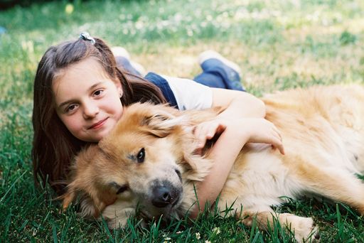 Vorschau Bild von Österreich gilt als tollwutfrei, dennoch sollte der Impfschutz von Hunden regelmäßig überprüft und aufgefrischt werden.