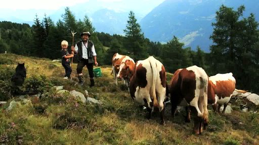 Winklerner Alm (Kärnten), Finkalm (Salzburg) und Arnitzalm (Osttirol) für nachhaltige Bewirtschaftung und Naturschutz ausgezeichnet