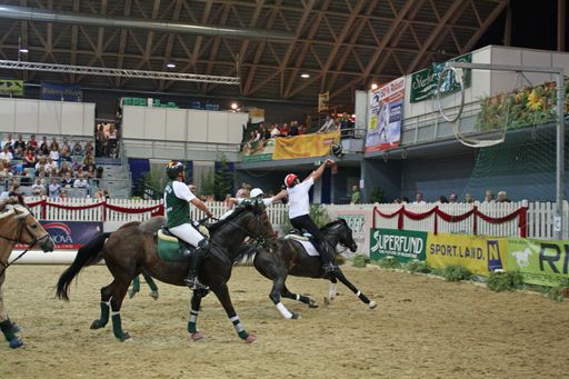 Horse-Ball-Spiel