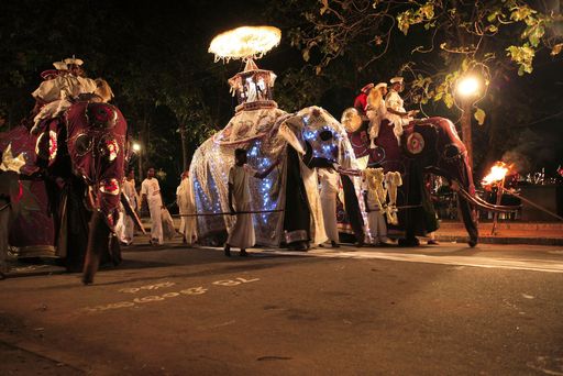 Vorschau Bild von Aufwändig geschmückte Elefanten beim Perahera in Kandy/Sri Lanka