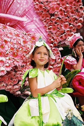 Vorschau Bild von Beim Festa da Flor versinkt die Hauptstadt Funchal im Blütenmeer