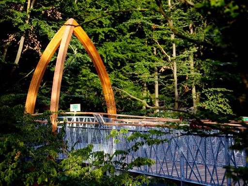 Illwerke Tourismus setzt sein Investitionsprogramm fort und plant in Latschau (Montafon/Vorarlberg) die Realisierung eines Baumkronenweges. Symbolfotos Baumkronenweg (Quelle: Tree-Top-Walk Edersee/Hessen)