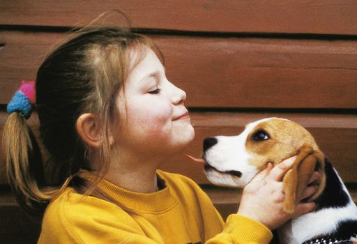  Eine Forschungsgruppe aus Österreich, Deutschland und der Schweiz hat.erstmals wissenschaftlich fundiert -  über Messung des Stresshormons.Kortisol - die ursächlichen Gründe für die Wirkung von Tieren auf unser.Wohlbefinden ermittelt. .