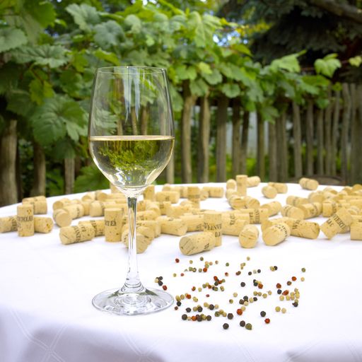 Weinviertel DAC - frisches "Pfefferl" im Glas.