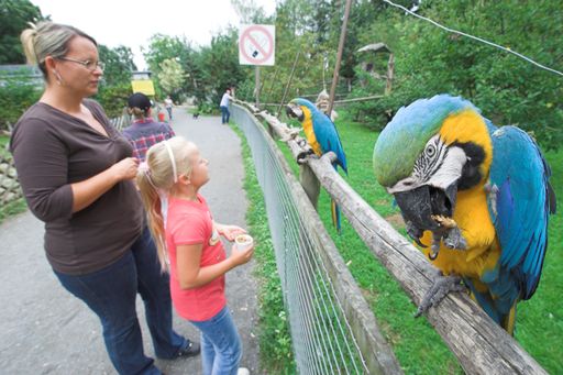 Vorschau Bild von Startschuss für den Sommer in Kärnten: Sommeropenings und Seefeste von Ende April bis Anfang Juni - an jedem Wochenende an einem anderen See.
