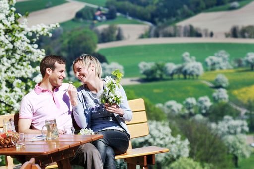 Genussvolle Stunden beim Mostheurigen..