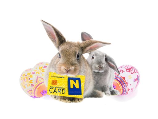 Nicht nur Schokohasen und bunt bemalte Eier passen ins diesjährige Osternest. Die Schatzkarte für die schönsten Ausflugsziele in Niederösterreich und Wien macht sich dort gut - und Ostern wird zu einem besonderen Fest.