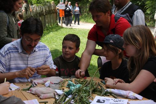 Kindernachmittag Maipfeiferlschnitzen im Österreichischen Freilichtmuseum Stübing