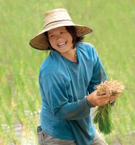 Vorschau Bild von Reisbäuerin von GreenNet/Thailand.