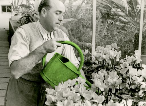 S/W-Fotografie (grafisch bearbeitet), 1950