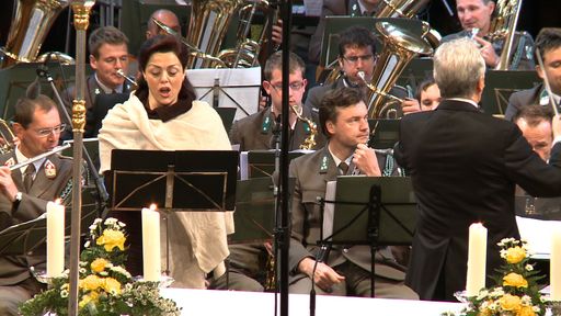 Vorschau Bild von Anna Ryan, Franz Cibulka