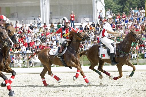 Am kommenden Wochenende vom 18.-19. Juni 2011 findet im Pferdesportzentrum Donaustadt wieder ein Horse-Ball Turnier statt.
Die Besucher dieser noch relativ jungen, rasanten und actionreichen Pferdesportart können sich von dem reiterlichen Können und der Akrobatik der Reiterinnen und Reiter überzeugen.
