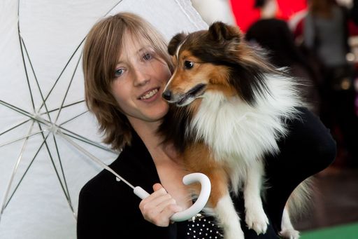  Am 21. August findet in der Wiener Krieau das 1. Wiener Hundefest statt.