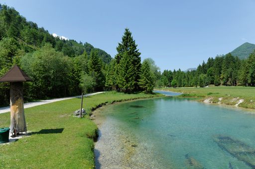 Vorschau Bild von Der Wildpark ist durchzogen mit smaragdfarbenen Nebenläufern des Alm-Flusses in dem sich Forellen, Süßwasser-Störe, Fischotter, etc. tummeln.