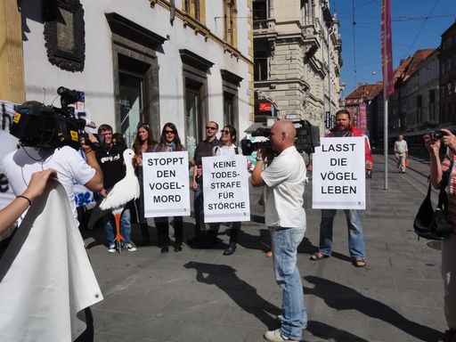 VIER PFOTEN befürchtet Massenabschüsse geschützter Vogelarten - Demo in Graz.