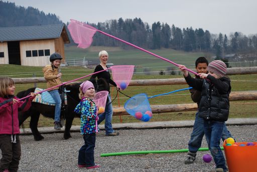 Pferde-Spiel-Stunde.