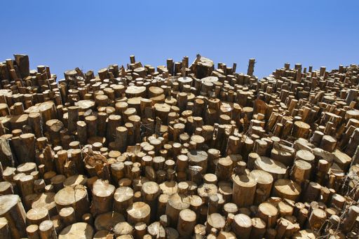  Holz