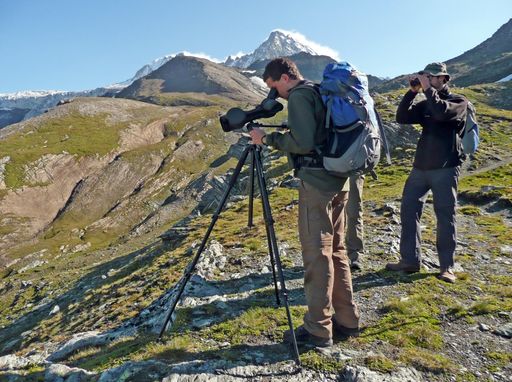 Vorschau Bild von Ornithologen bei der Arbeit