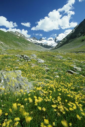 Vorschau Bild von Beeindruckender Blick auf den Gletscher - so sah es wohl schon zu Ötzis Zeit hier oben in den Ötztaler Alpen aus.