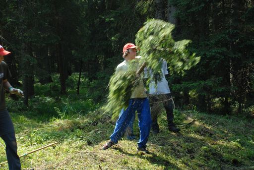 Umwelteinsatz im Naturschutzgebiet Koaserin/OÖ.