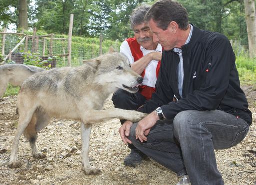 Wissenschafts- und Forschungsminister Dr. Karlheinz Töchterle mit Prof. Kurt Kotrschal im Wolfsforschungszentrum in Ernstbrunn