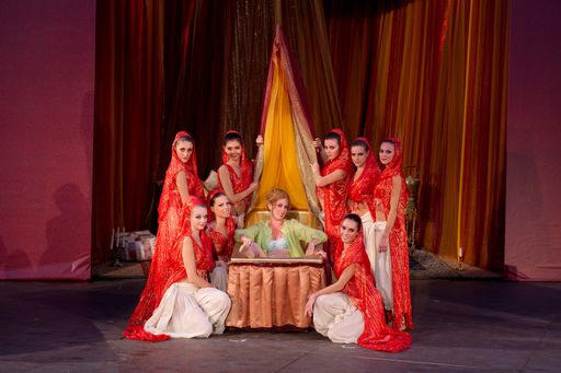 Vorschau Bild von Kerstin Grotrian mit Ballettdamen der Staats- und Volksoper Wien