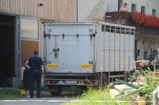 Laaben, NÖ: Rindertransport fast 3 Stunden in praller Sonne "geparkt".