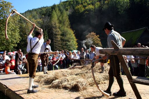 Dreschen wie anno dazumal im ÖFM Stübing.