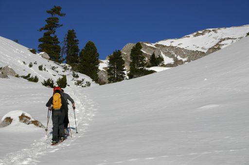 Vorschau Bild von ASI-Lodge Winterwandern: Schneeschuhwandern im Rofan