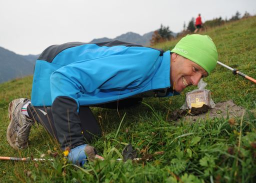 Vorschau Bild von Über 300 Schatzkisten sind auf der Steinplatte Waidring versteckt und warten darauf gefunden zu werden.