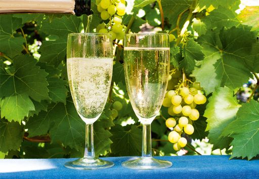 Brüder kommt - wir trinken Sterne.