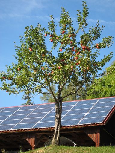 Vorschau Bild von Nominiert für den Österreichischen Klimaschutzpreis 2011: Die Kraft der Sonne ermöglicht am Biohof Kraßnitzer in Kärnten ein energieautarkes Wirtschaften.