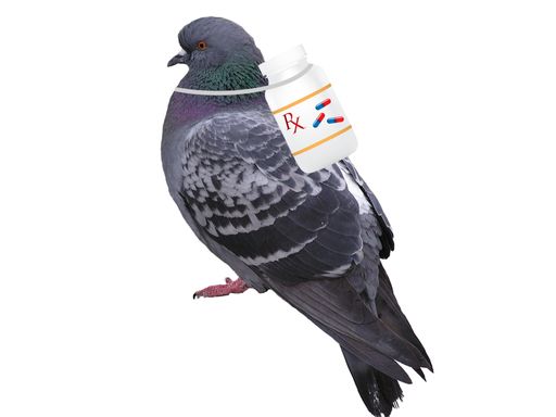  Bild aus Broschüre zu Arzneimittelversandhandel
