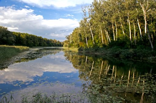  Nationalpark Donau-Auen