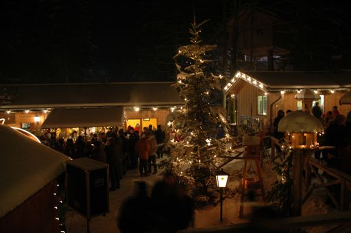  Waldweihnacht am Baumkronenweg in Kopfing.