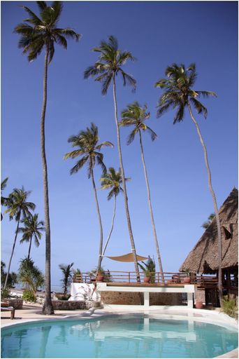 Vorschau Bild von Hoteleröffnung der zanzibar ocean lodge GREEN AND BLUE im Dezember 2011