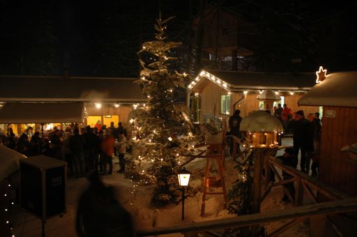  Stimmungsvolle Waldweihnacht beim Baumkronenweg in Kopfing.