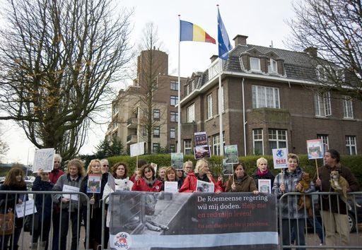 Vorschau Bild von Protestkundgebung in Den Haag
