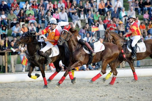 Horse-Ball-Spiel