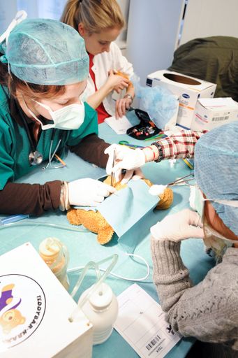 Vorschau Bild von Operation gelungen: Der Teddy ist am Weg der Genesung und kann schon bald das Teddybär-Krankenhaus verlassen.