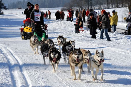 Am 04. und 05. Februar 2012 liegt Angerberg wieder im Mittelpunkt der Schlittenhundewelt Europas und wer das Kräftemessen der Musher (Hundeschlittenführer) und ihrer Huskys erleben möchte, findet an diesem Wochenende in Angerberg die beste Gelegenheit dazu.